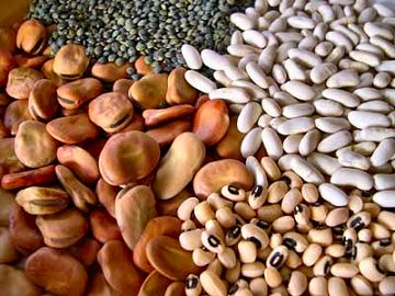 Légumes secs, La parade contre l’envolée des prix