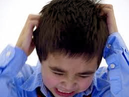 Les élèves d’une école à haï el Yasmine ont été renvoyés chez eux Les poux reviennent en force