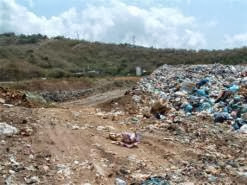 Leur prolifération fait jaser les oranais, Ces déchets ménagers et inertes qui inquiètent