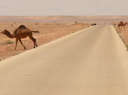 “L’ouverture des frontières de l’extrême Sud deux fois par mois est possible”, selon Sellal