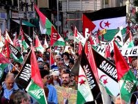 Rassemblement à Paris pour exiger la libération des prisonniers politiques sahraouis