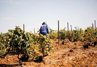 Retour des pluies à Bouira, Les fellahs sourient, les citadins tremblent