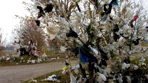 Sacs en plastique, C&rsquo;est laid et c&rsquo;est dangereux