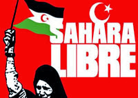 Sahara occidental / Violation des droits de l’homme, Le Maroc au banc des accusés