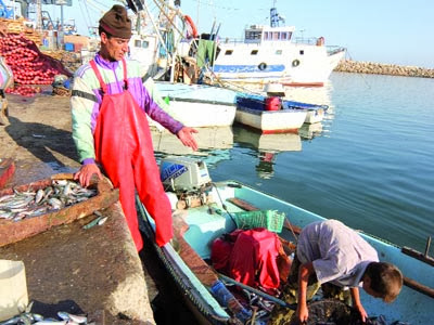 Salon de la pêche et de l’aquaculture, Booster un secteur vital