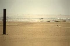 Un entrepreneur assassiné par un groupe armé à Tamanrasset