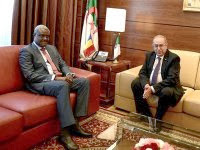 Algérie-Tchad : la commission mixte prévue durant les premières semaines de 2014