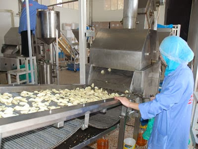 Création de PME en Algérie, Entre bureaucratie étouffante et banques frileuses