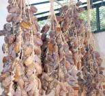 El-Bayadh : exposition régionale dédiée aux produits de dattes locales