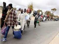 Flux migratoires : appel à la création d’un observatoire régional de veille