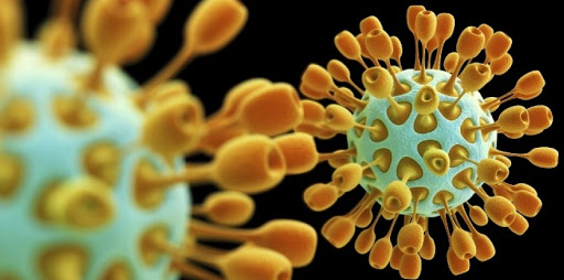 Ils seraient 30 000 à vivre avec le virus, La société civile tire la sonnette d’alarme sur le sida