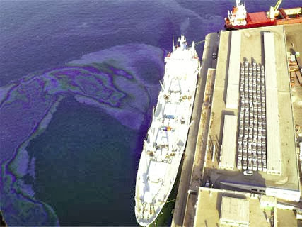 Importation de véhicules neufs, Une chute de 52% en 2013