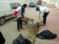 Lancement d’une vaste campagne de nettoiement dans plusieurs quartiers d’Alger