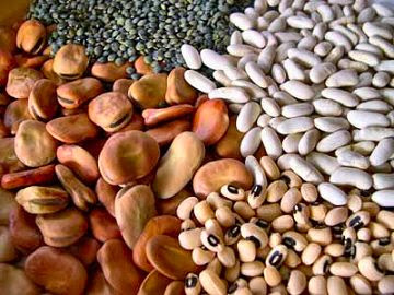 Le marché des légumes secs est suffisamment approvisionné (OAIC)