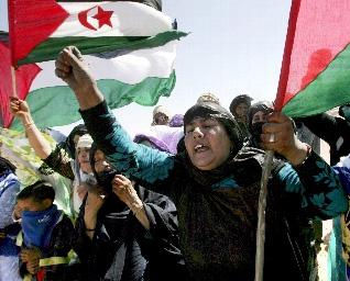 Solidarité avec le peuple Sahraoui, Naissance de la Task Force africaine