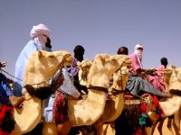 Tamanrasset s’apprête à accueillir le 3ème « Amni » du dromadaire