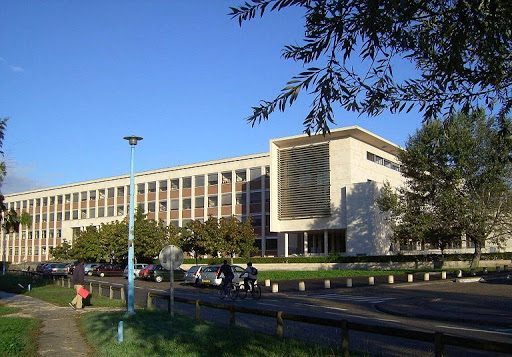 Université Badji-Mokhtar à Annaba, Les étudiants en grève illimitée