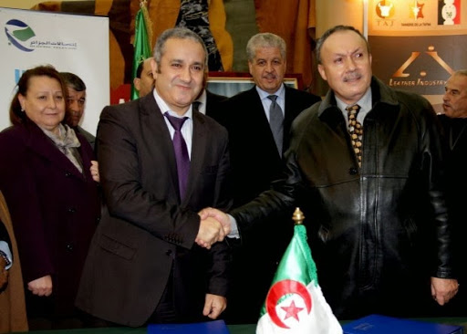 Algérie : la fibre optique pour toutes les localités de plus de 1000 habitants