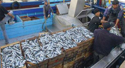 Convention entre les ministères du Travail et de la Pêche pour la création de micro-entreprises