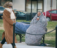 Etats-Unis/ Le froid polaire fait des morts et paralyse le pays