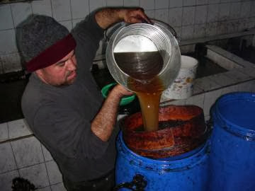 Kabylie : 17e fête des olives d’Akbou