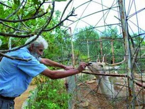 le petit zoo de tifrit, comment devenir grand ?