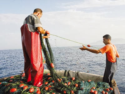 Pêche et ressources halieutiques, Une vocation héritée et un créneau en consolidation