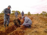 Plantation de quelque 4.000 arbustes à la sortie sud de la ville de Djelfa