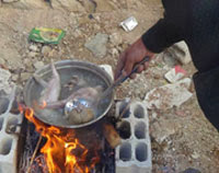 Syrie : on mange des chiens et des chats au camp de Yarmouk