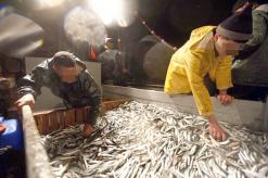 Un projet de loi modifiant la loi sur la pêche en cours d’élaboration