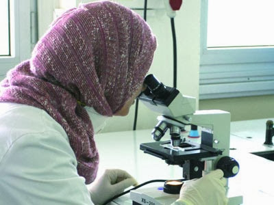 Université, Cap sur la qualité