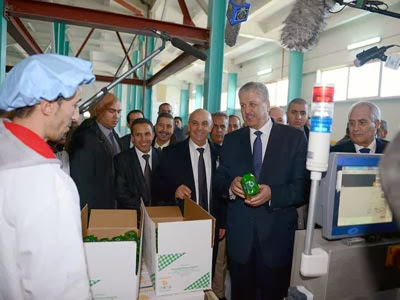 Visite du premier ministre à Mascara, Plusieurs projets inspectés