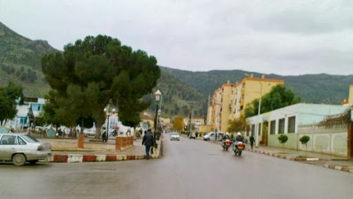 Aïn Defla: une wilaya agricole aux perspectives prometteuses