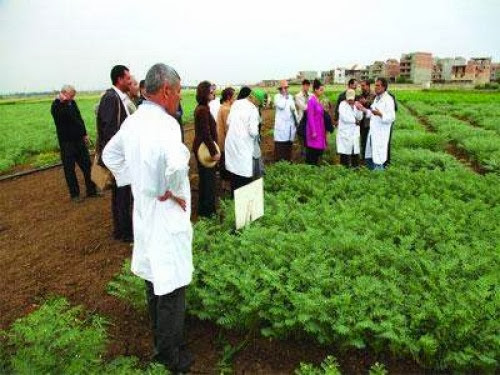 Algérie : le projet Fawira apportera son expertise à 10 projets agricoles et agroalimentaires