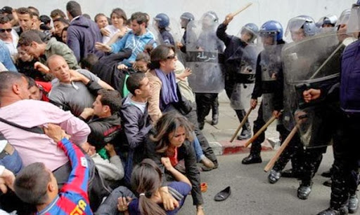 Droits de l&rsquo;Homme en Algérie, Des ONG internationales montent au créneau