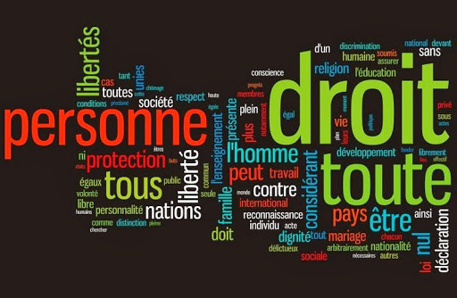 Enquête sur les droits de l’homme : l’Algérie sous le feu des ONG