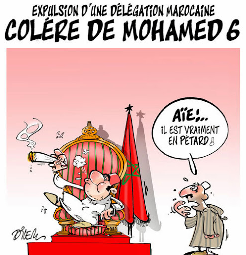 Expulsion d’une délégation marocaine, colère de Mohamed6