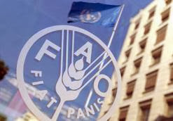 L’Algérie parmi les rares pays du MENA ayant réduit la sous-alimentation