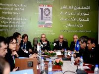 Méditerranée : faire face aux changements climatiques pour développer les zones rurales