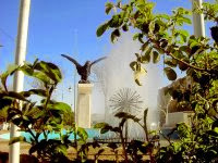 Quartier le plus propre : la cité Yahia-Farès décroche le Prix vert