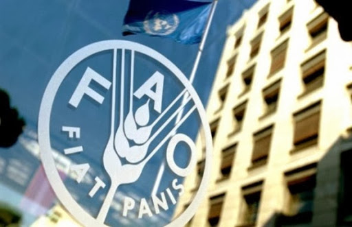 Sécurité alimentaire: les gouvernements de la région Mena s&rsquo;engagent à renforcer la coopération