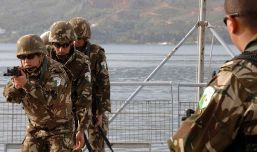 Selon l&rsquo;Américain global firpower, L’ANP 31e puissance militaire dans le monde