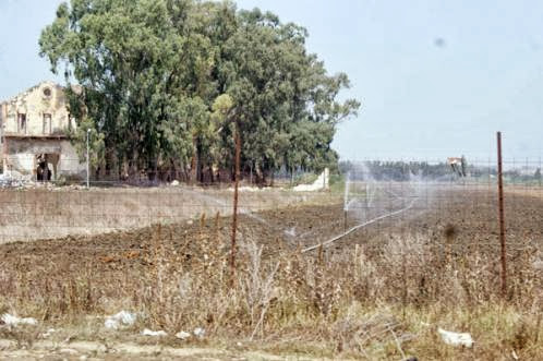 TIPASA, Les fellahs tirent la sonnette d&rsquo;alarme