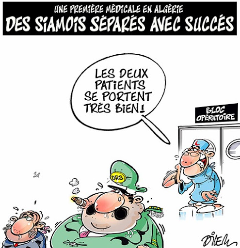 Une première médicale en Algérie, des siamois séparés avec succés