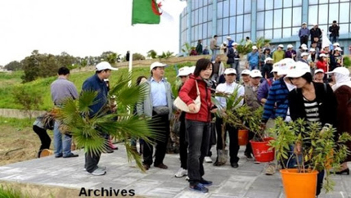 Algérie-Chine: renforcement du partenariat dans le domaine de l&rsquo;environnement