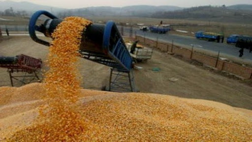 Céréales: hausse de 13% des importations de l&rsquo;Algérie en janvier 2014