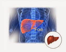 Cinq cas d’hépatite A décelés à Jijel