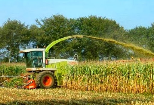 Des indicateurs augurent d&rsquo;un développement agricole croissant à Oran