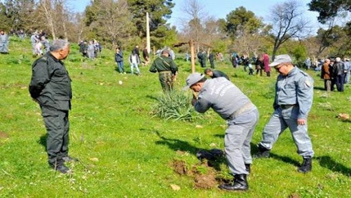 Des milliers d’arbustes plantés par les agents des douanes à travers plusieurs régions de l’ouest du pays