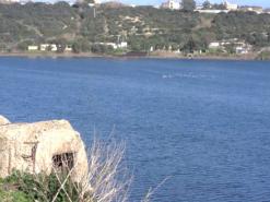 Environnement, Le lac de Reghaïa réceptacle de déchets industriels hautement toxiques